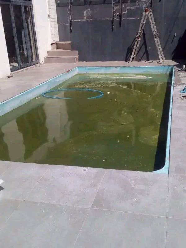 Before green pool cleaning